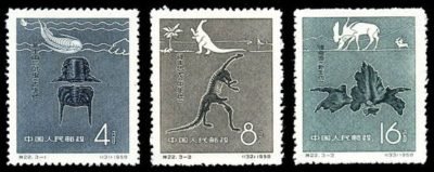 S22/TE22/特22, Early Fossils of China《中国古生物》