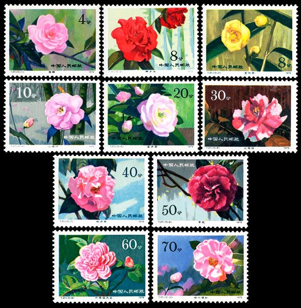 T037, Camellias of Yunnan《云南山茶花》