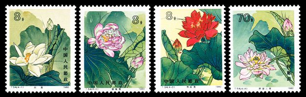T054, Lotus《荷花》