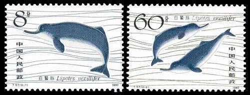 T057, Chinese River Dolphin《白暨豚》