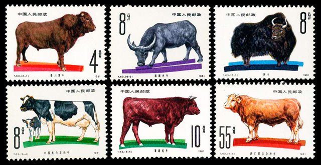 T063, Animal Husbandry : Cattle《畜牧业 — 牛》