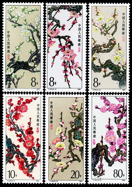 T103, Mei flower (Plum Blossom)《梅花》