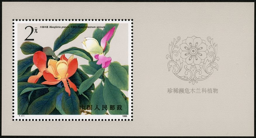 T111M, Rare Magnolia《珍稀濒危木兰科植物》