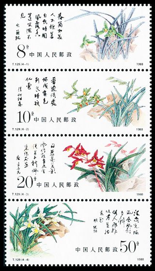T129, Chinese Orchid《中国兰花》
