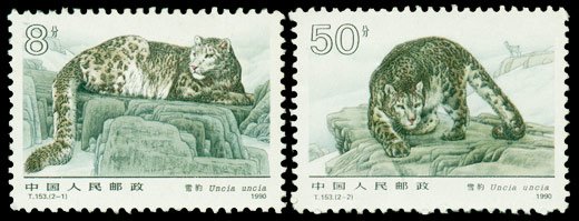 T153, Uncia《雪豹》