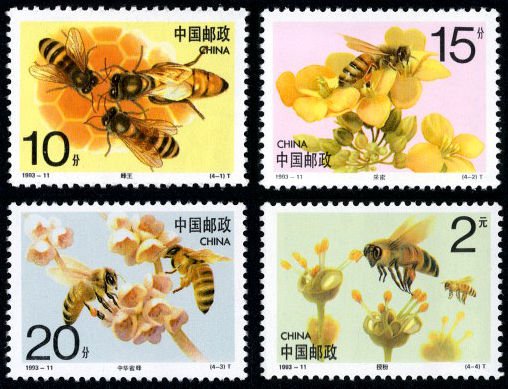 1993-11, Bees《蜜蜂》