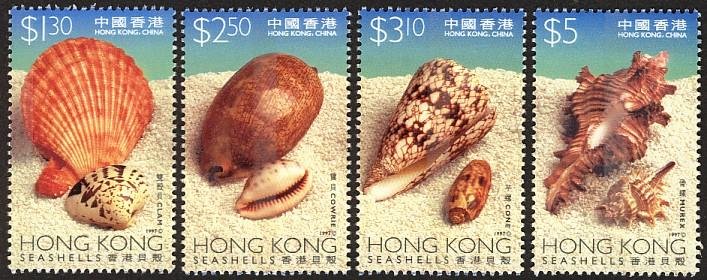 HK19971109 Hongkong Sea Shells香港贝壳