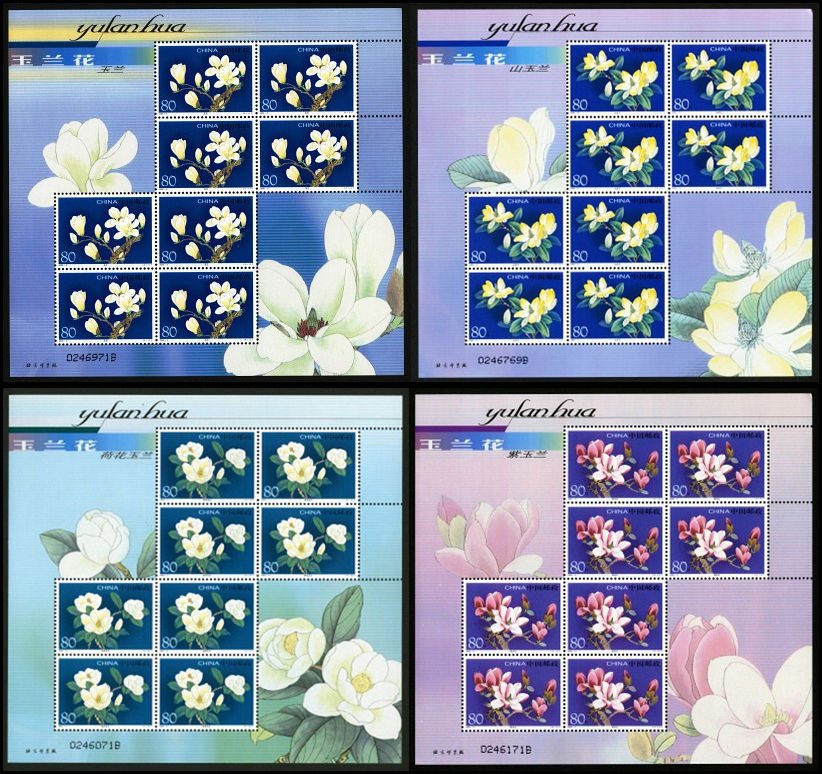 2005-05, Yulan Magnolia《玉兰花》