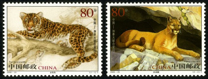 2005-23, Leopard and Cougar (Joint Issue of China and Canada)《金钱豹与美洲狮》