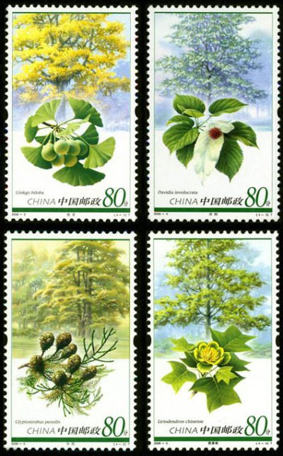 2006-05, Relic Plants《孑遗植物》