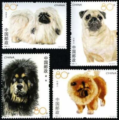 2006-06, Dogs《犬》