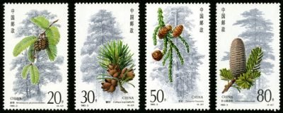 Chinese Stamp- Fir of China