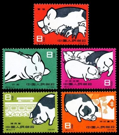 S40/TE40/特40, Pig-Breeding《养猪》