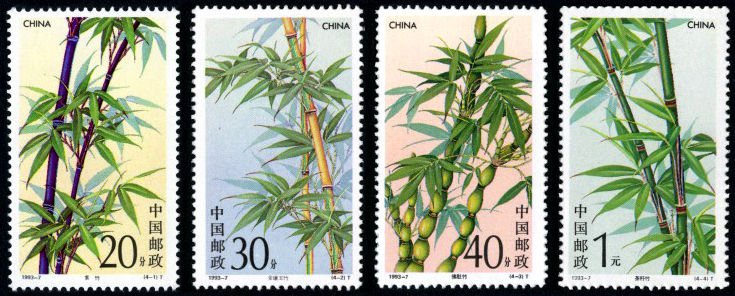 1993-07, Bamboo《竹子》