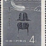 (3-1), Trilobite of Haoli Mountain (Paleozoic), 4 fen, 23*28.5 mm