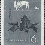 (3-3), Megaceros Pachyostens(Cenozoic), 16 fen, 23*28.5 mm