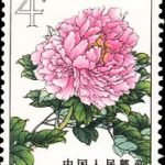 1964-S61 (15-1), Peonies, 4 fen, 26.5x36 mm