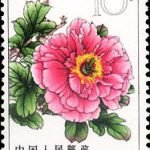 1964-S61 (15-12), Peonies, 10 fen, 26.5x36 mm