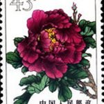1964-S61 (15-14), Peonies, 43 fen, 26.5x36 mm