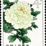 1964-S61 (15-2), Peonies, 4 fen, 26.5x36 mm