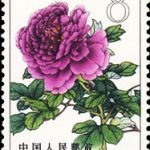 1964-S61 (15-3), Peonies, 8 fen, 26.5x36 mm
