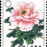 1964-S61 (15-4), Peonies, 8 fen, 26.5x36 mm