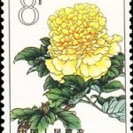 1964-S61 (15-5), Peonies, 8 fen, 26.5x36 mm