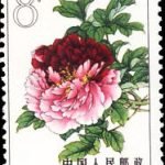 1964-S61 (15-6), Peonies, 8 fen, 26.5x36 mm
