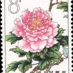 1964-S61 (15-7), Peonies, 8 fen, 26.5x36 mm