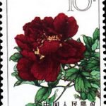 1964-S61 (15-8), Peonies, 10 fen, 26.5x36 mm
