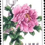 1964-S61 (15-9), Peonies, 10 fen, 26.5x36 mm