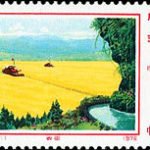 (16-1), Farmland, 8 fen, 52*31 mm