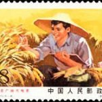 (6-4), Farming using knowledge, 8 fen, 38.5*31 mm