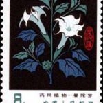 (5-2), Stramonium, 8 fen, 30*40 mm