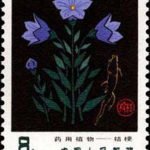 (5-4), Balloonflower, 8 fen, 30*40 mm
