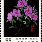 (5-5), Rhododendron dauricum, 55 fen, 30*40 mm
