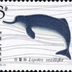 (2-1), Chinese River Dolphin, 8 fen, 40*30 mm