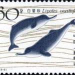 (2-2), Chinese River Dolphin, 60 fen, 40*30 mm