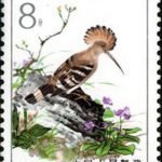 (5-1), Hoopoe, 8 fen, 30*40 mm