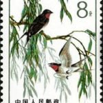 (5-2), Swallow, 8 fen, 30*40 mm