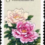 (2-1), Peony, 8 fen, 27*40 mm