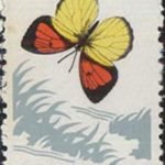 1963-S56 (20-11), Eurema laeta punctissima (Matsumura), 10 fen, 23.5x36 mm