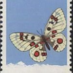1963-S56 (20-17), Parnassiidae, 20 fen, 23.5x36 mm