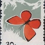 1963-S56 (20-19), Lycaenidae, 30 fen, 23.5x36 mm