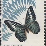 1963-S56 (20-20), Nymphalidae, 50 fen, 23.5x36 mm