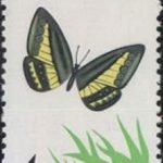 1963-S56 (20-5), Satyridae, 4 fen, 23.5x36 mm