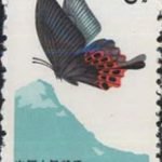 1963-S56 (20-7), Papilionidae, 8 fen, 23.5x36 mm