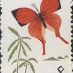 1963-S56 (20-8), Lycaenidae, 8 fen, 23.5x36 mm