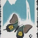 1963-S56 (20-9), Teinopalpus aureus Mell, 8 fen, 23.5x36 mm