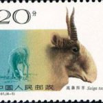 (4-1), High-nose Antelope (Saiga Tatarica), 20 fen, 40*30 mm